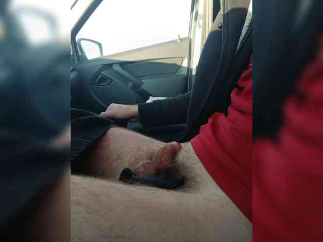 Serpent228 Serpent228