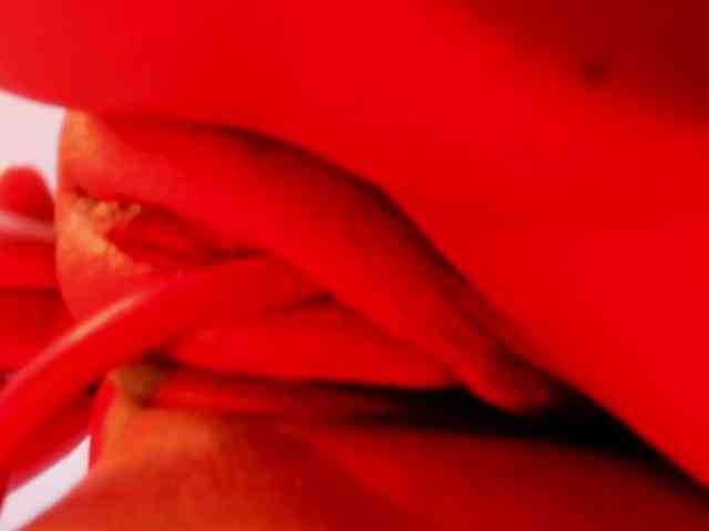 Lulu-69 Live Webcam on BongaCams