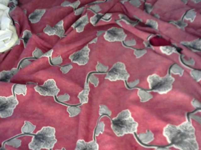 FoxySamantha7's BongaCams show and profile