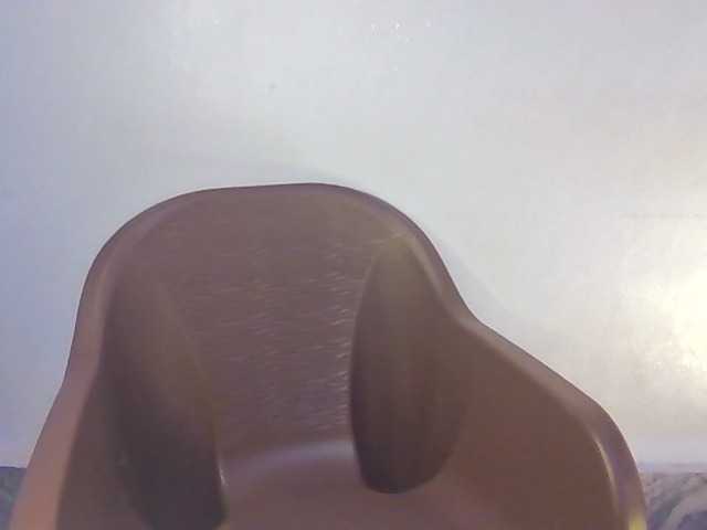 FoxySamantha7 webcam