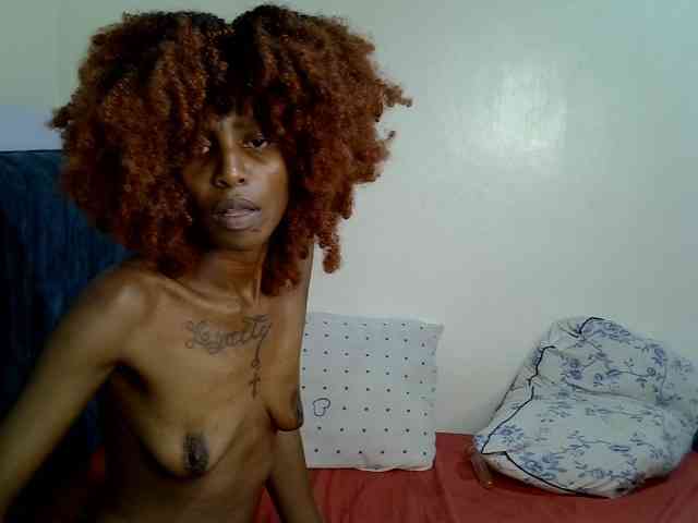 PetiteZaras PetiteZaras