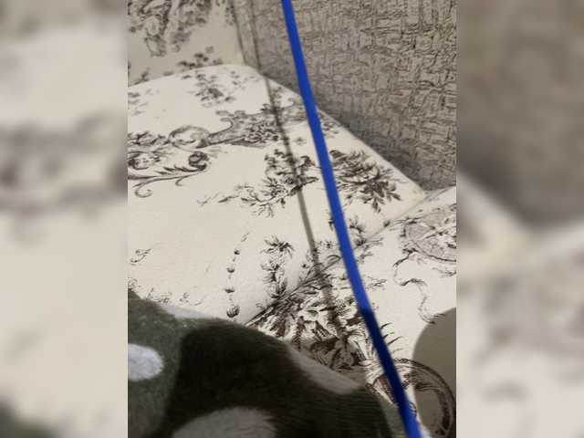 svyataya – webcam model profile photo