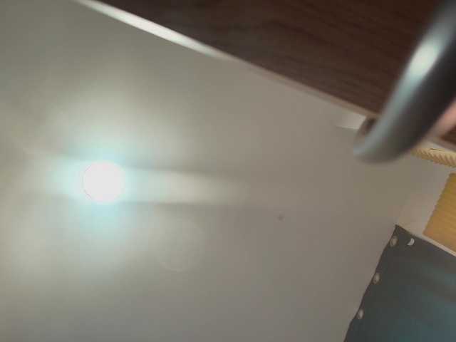 paolamss from BongaCams