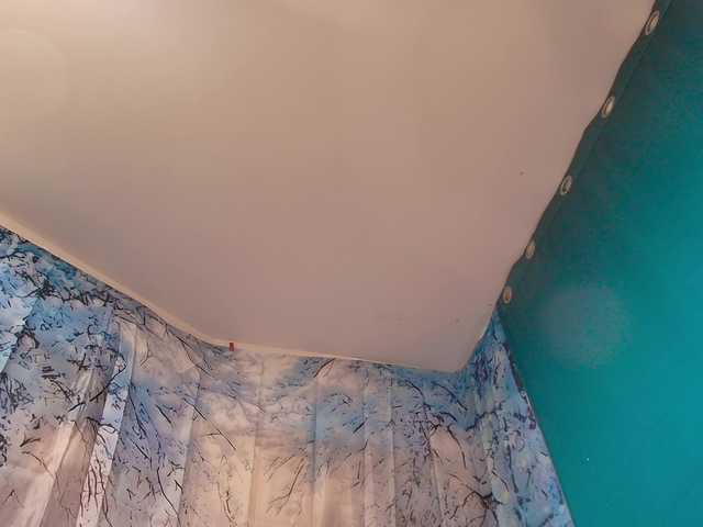 paolamss's BongaCams show and profile