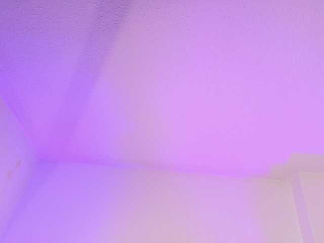 nyxhellsqueen webcam