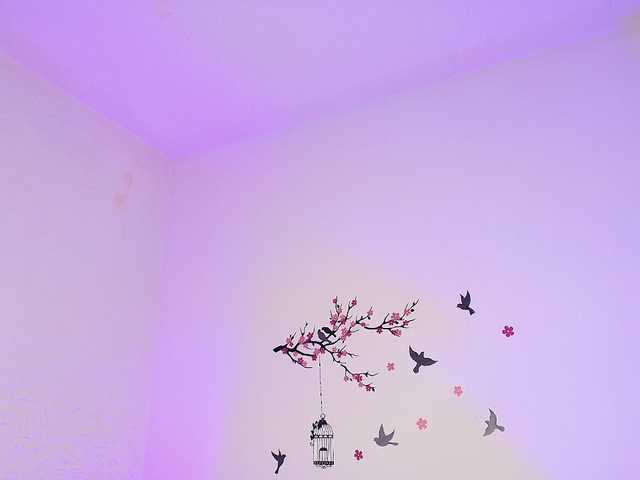 nyxhellsqueen live cam