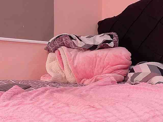 Dahliabrowniee webcam