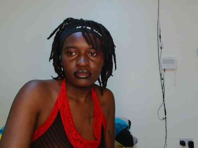 CatsAlley webcam