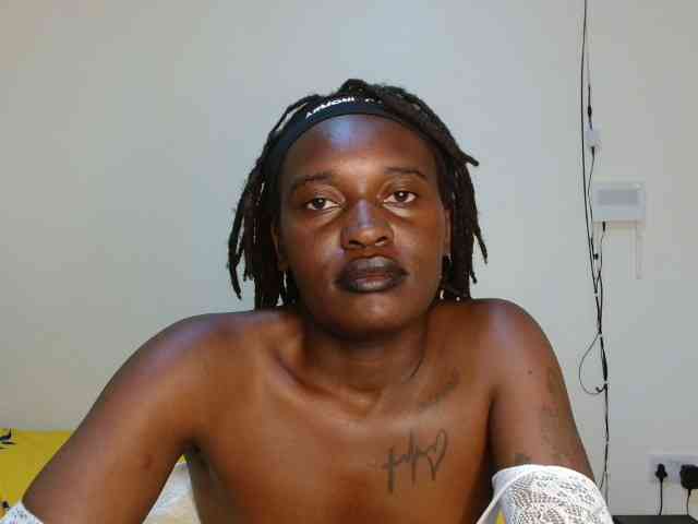 CatsAlley webcam