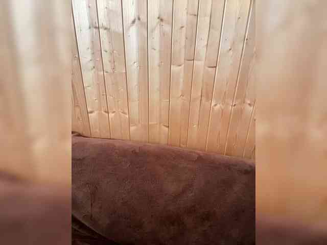 Sweetie_Kitty webcam