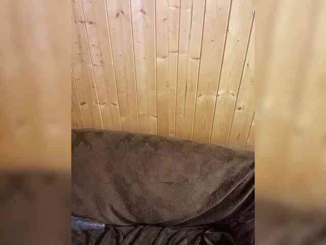 Sweetie_Kitty webcam