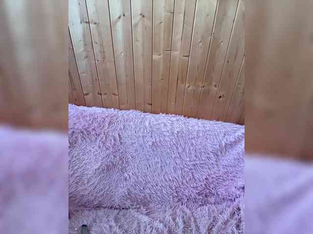 online nude chatroom Nemesida