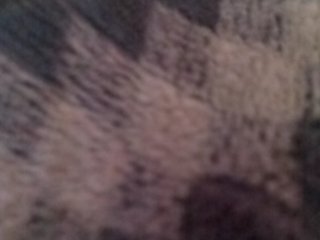 Indian-Couple Porn Show