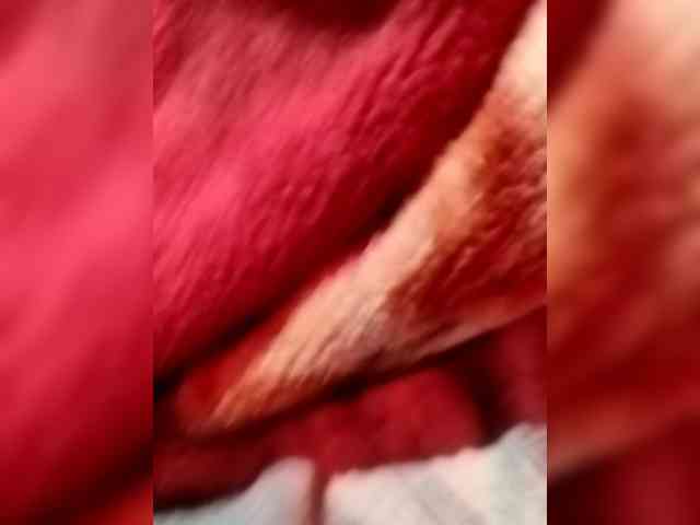 Indian-Couple webcam