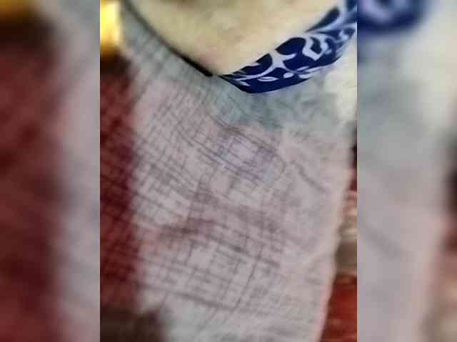 Indian-Couple webcam