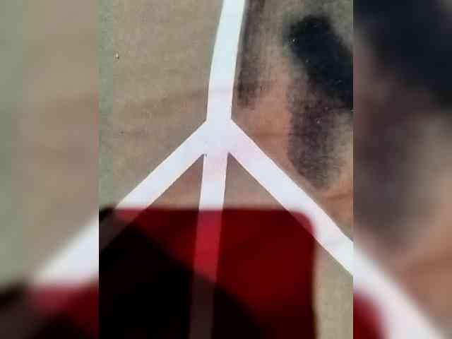 Indian-Couple webcam