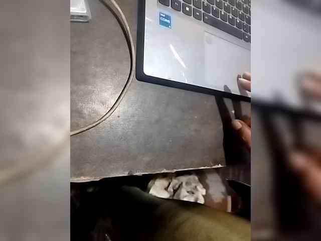 Indian-Couple webcam