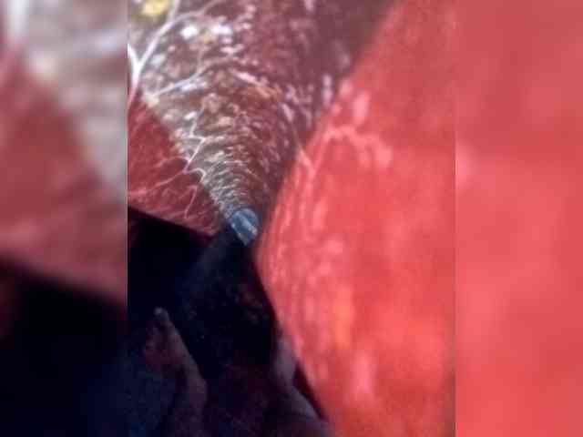 Indian-Couple webcam