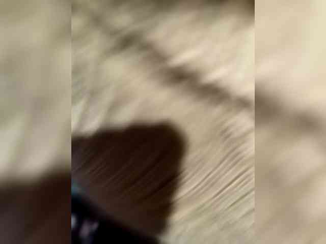 Indian-Couple webcam