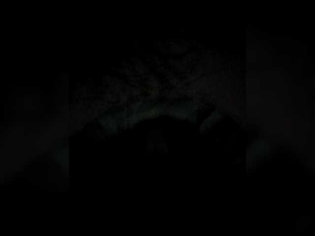 Diana777Star's BongaCams show and profile