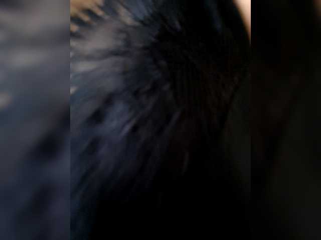 Preview of hatpaxaha