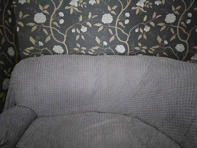 Xxassh from BongaCams is Freechat