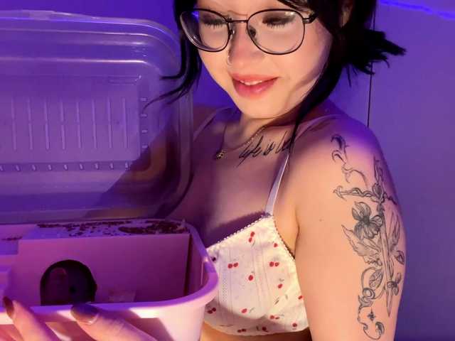 DominicaTkach's BongaCams show and profile