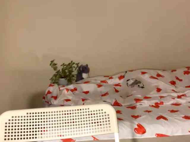 DominicaTkach webcam