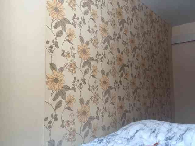 AshantiBadolato webcam