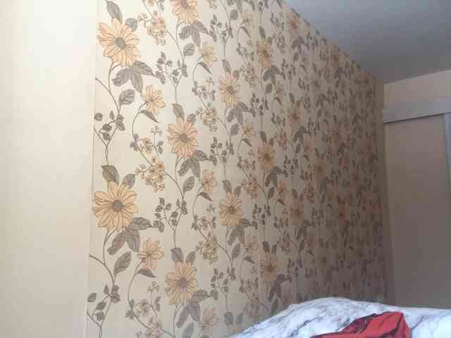 AshantiBadolato webcam