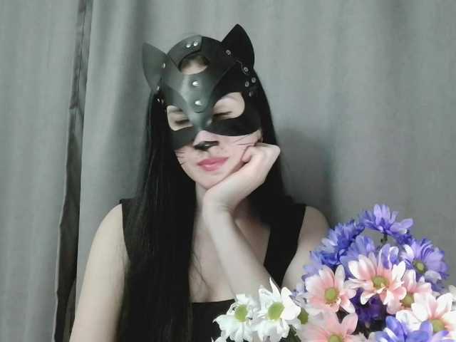 Lady-cat Live Cam on BongaCams