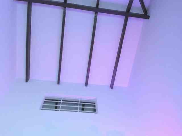 scarlettfox01 webcam