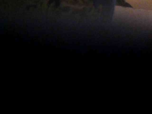 Browny-snacky webcam