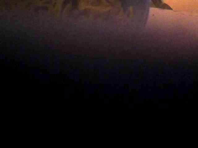 Browny-snacky webcam