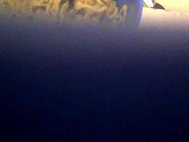 Browny-snacky webcam