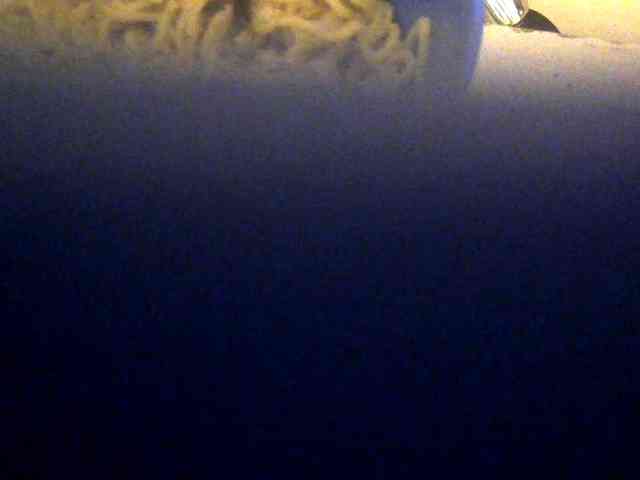 Browny-snacky webcam