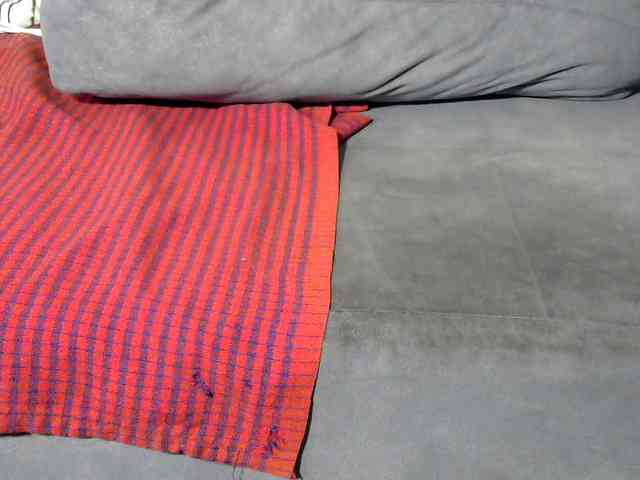 Browny-snacky webcam