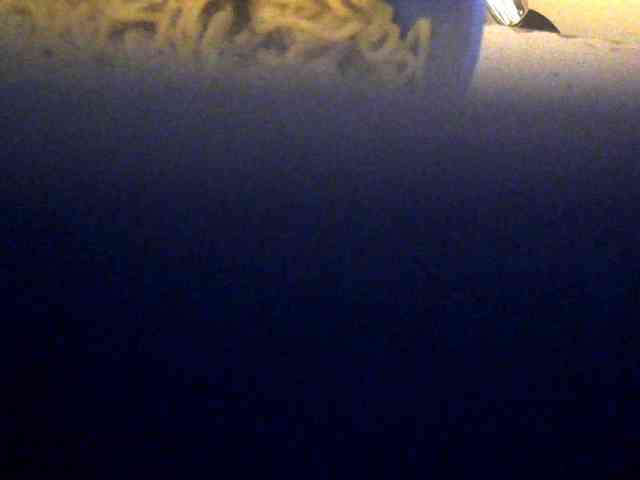 Browny-snacky webcam