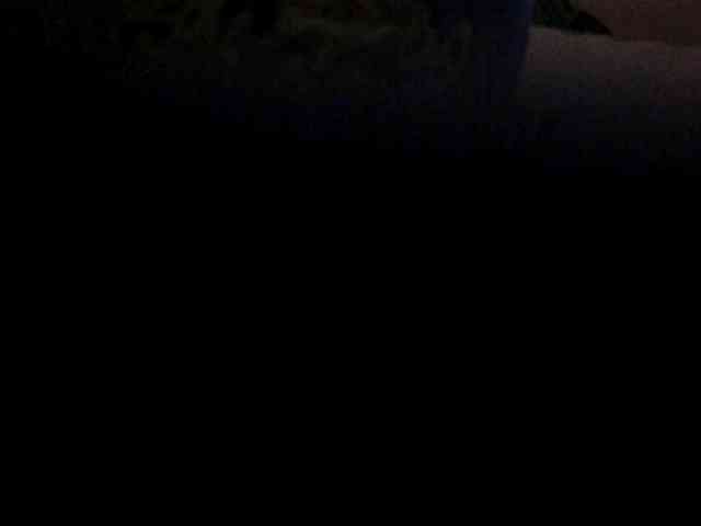 Browny-snacky webcam