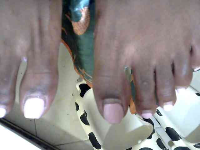 Browny-snacky webcam