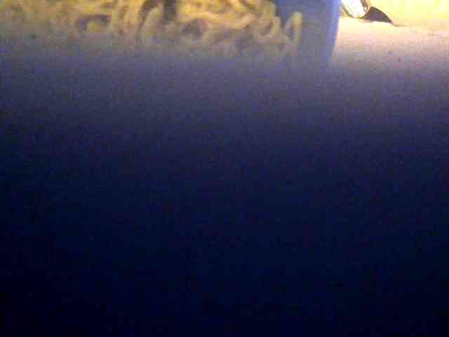 Browny-snacky webcam