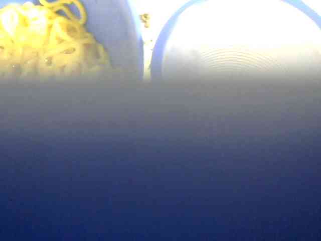 Browny-snacky webcam