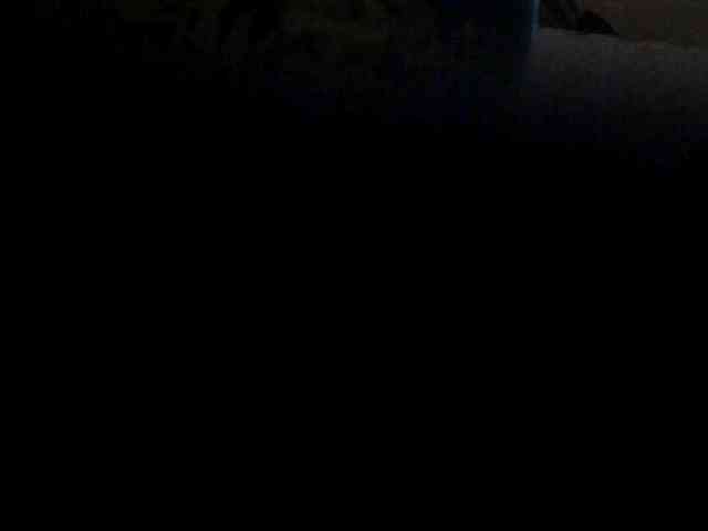 Browny-snacky webcam