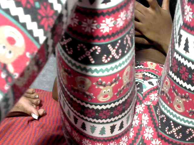 Browny-snacky webcam