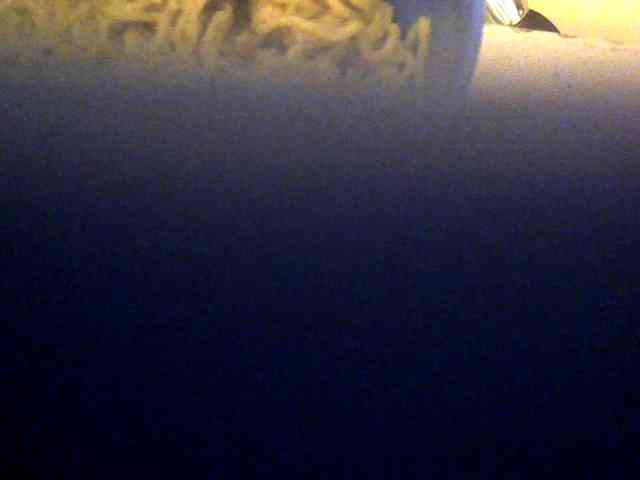 Browny-snacky webcam