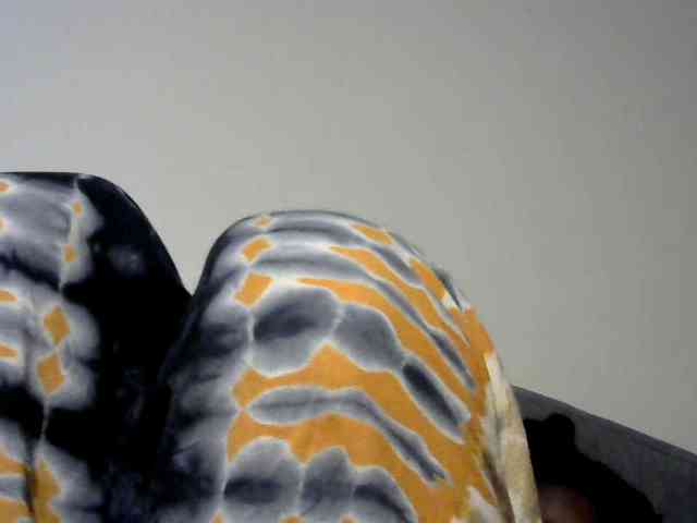 Browny-snacky webcam