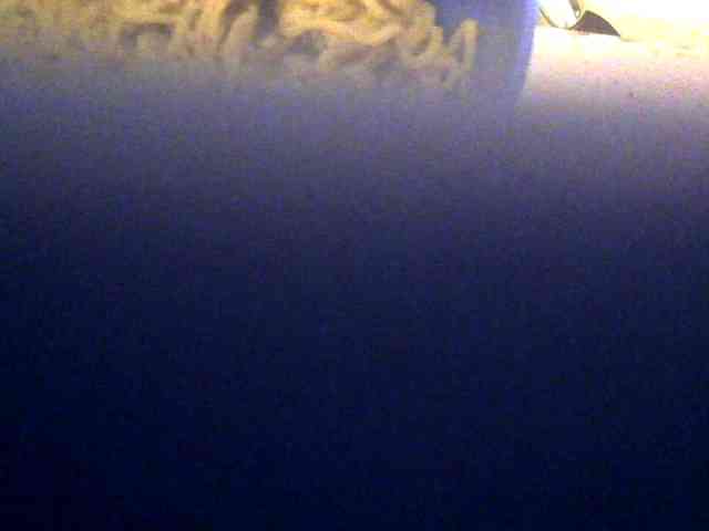 Browny-snacky webcam