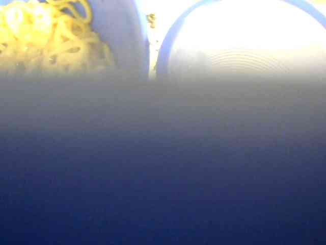 Browny-snacky webcam