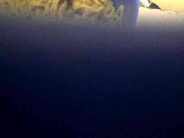 Browny-snacky webcam