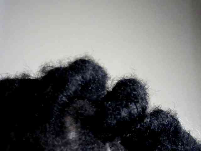 Browny-snacky webcam